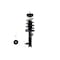 Fcs Struts COMPLETE STRUT ASSEMBLY 4333514L - alternate 1